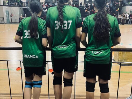 𝗧𝗥𝗢𝗙𝗘𝗢 𝗥𝗢𝗟𝗟&𝗙𝗨𝗡 – 𝗟𝗘𝗜𝗡𝗜̀ (𝗧𝗢)